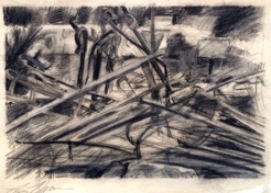 Tangled bars
charcoal Tangled bars
charcoal
